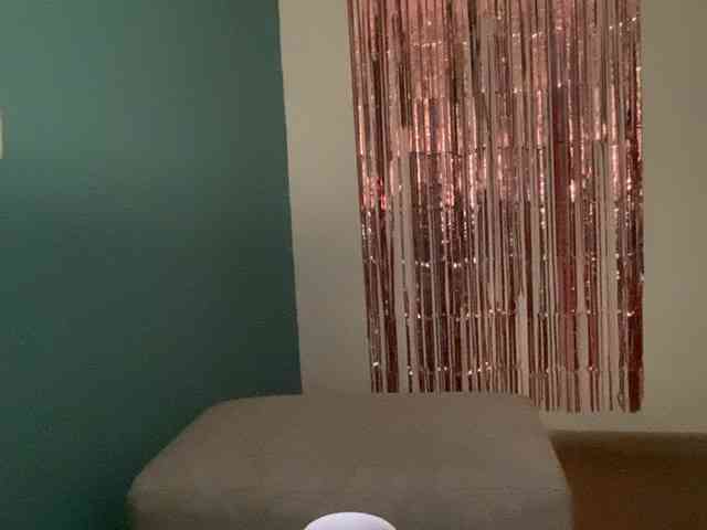 ZuriFoxxx webcam