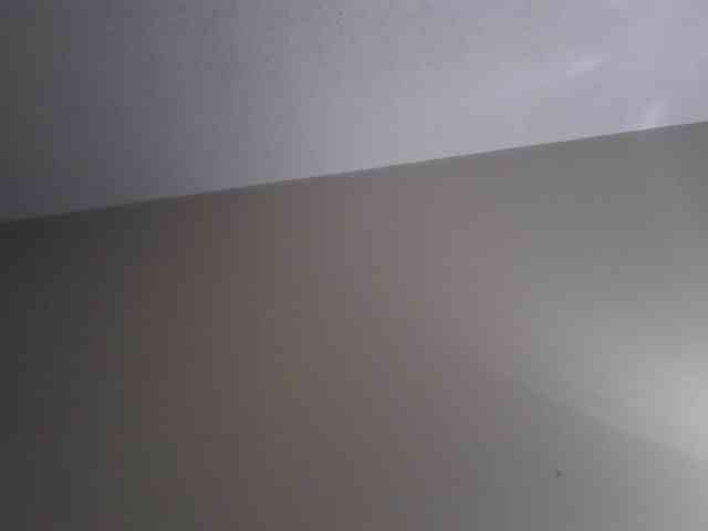 biancadoesitright webcam