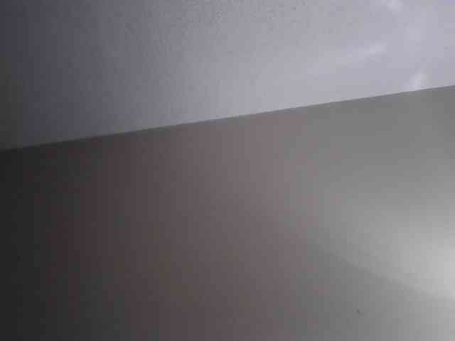biancadoesitright webcam