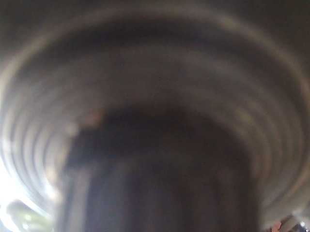 petrova1985's BongaCams show and profile