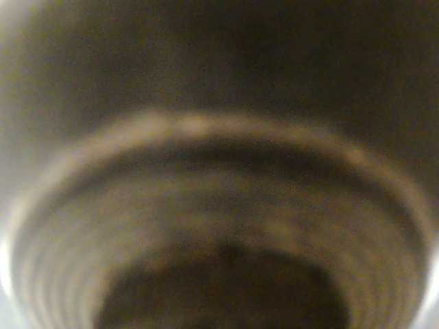 petrova1985 Live Cam on BongaCams