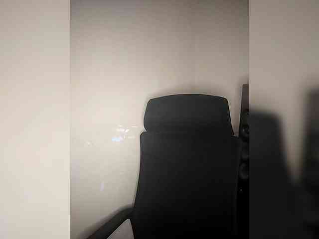 SAM28 webcam