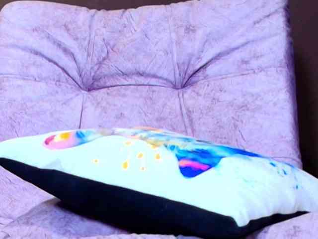 Allison-Holand webcam