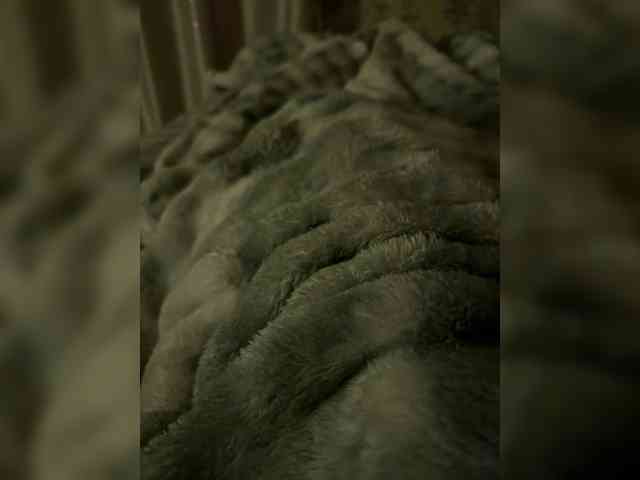 KarinmagerySOLO webcam