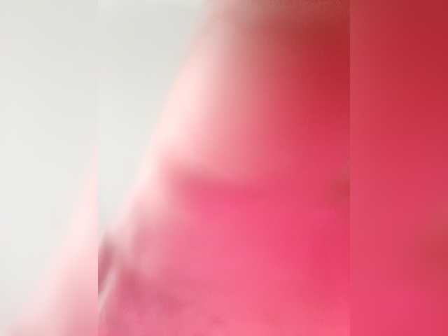 Lyly-511