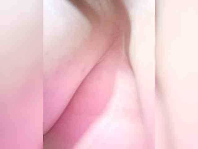 Modelo: Lyly-511