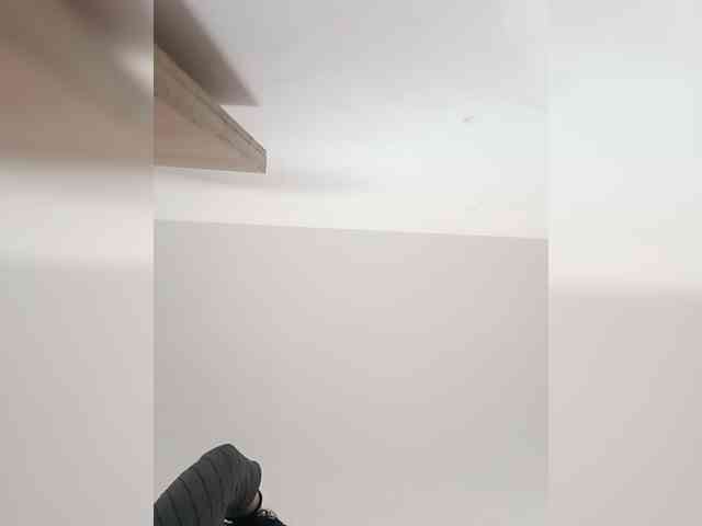 Lyly-511