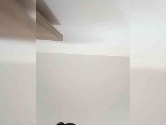 Lyly-511 webcam