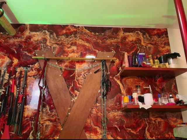 MASTER-N-BUNNIE webcam