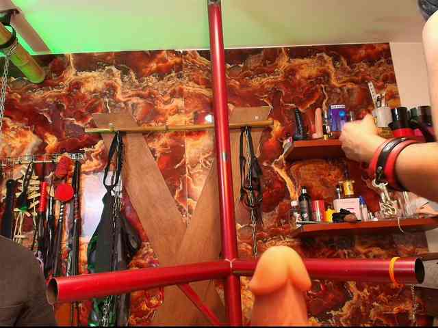 MASTER-N-BUNNIE webcam