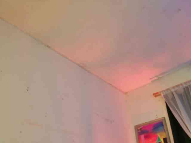 PeachNymph webcam