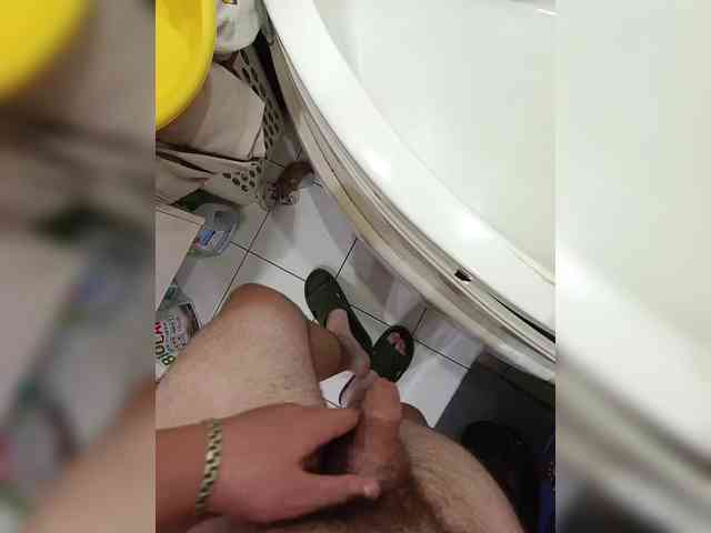 SexOne