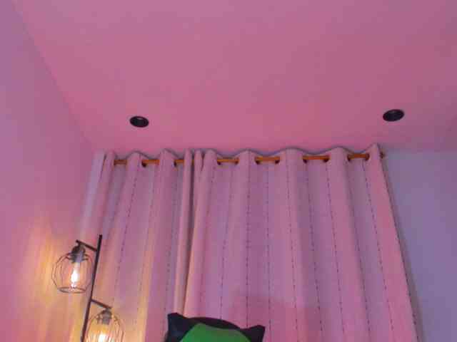 SweetLittleQueenBat webcam