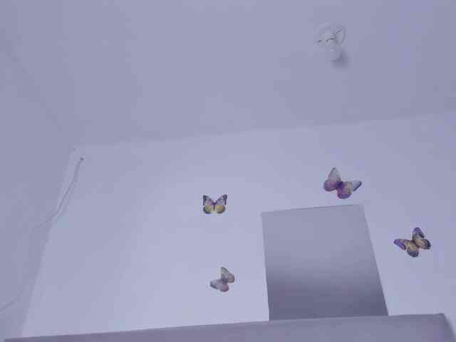 itswet-horny webcam