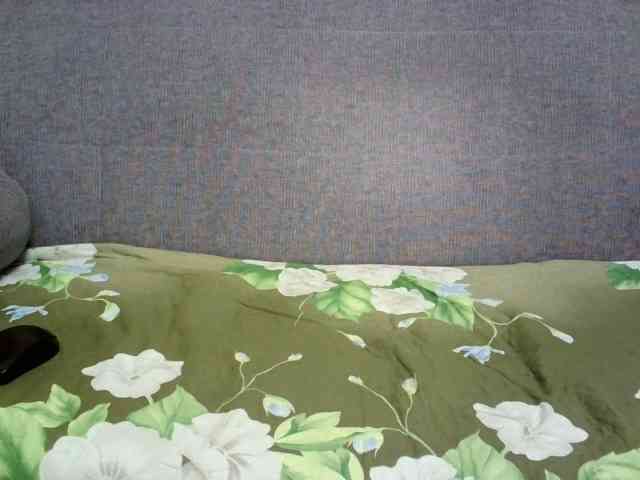 Verika webcam