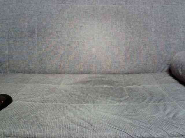 Verika webcam