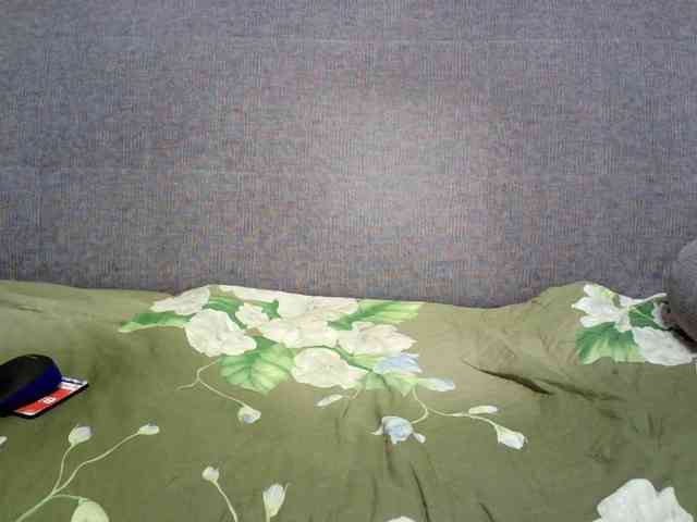 Verika webcam