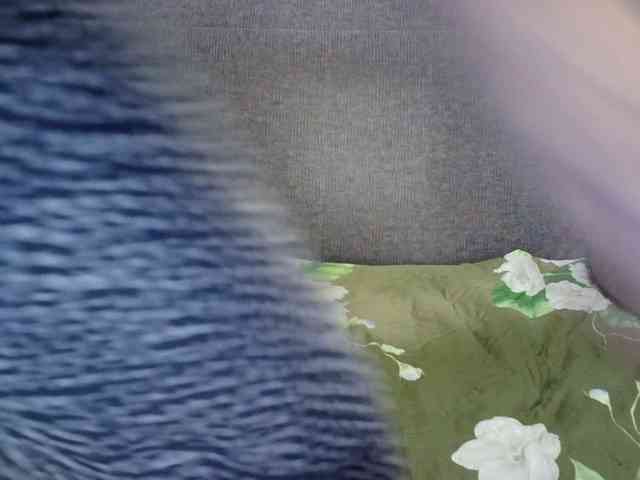 Verika webcam