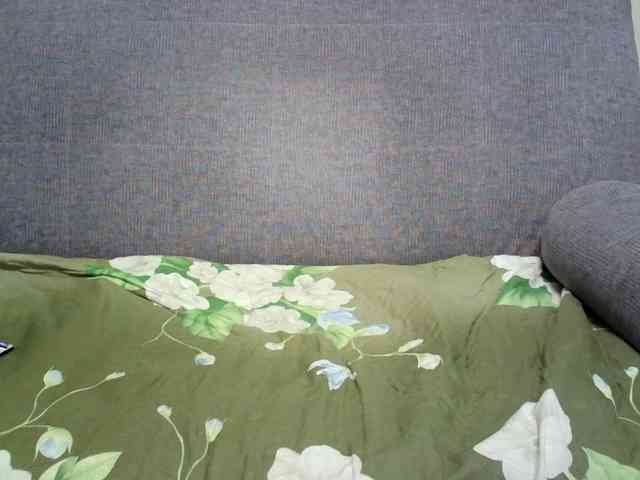 Verika webcam