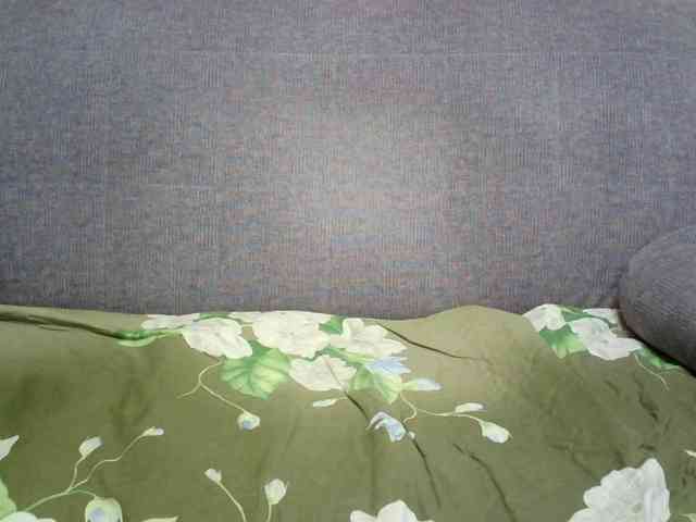 Verika webcam