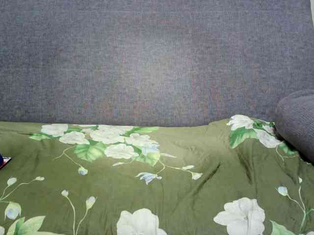Verika webcam