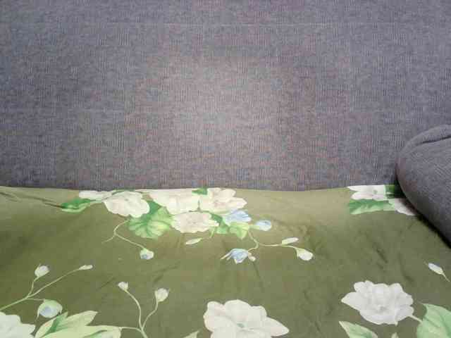 Verika webcam