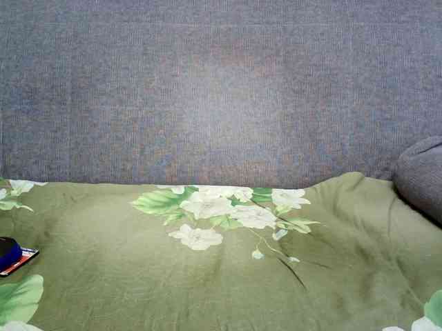 Verika webcam