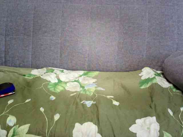 Verika webcam