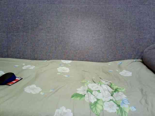 Verika webcam