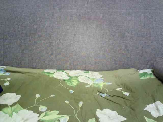 Verika webcam