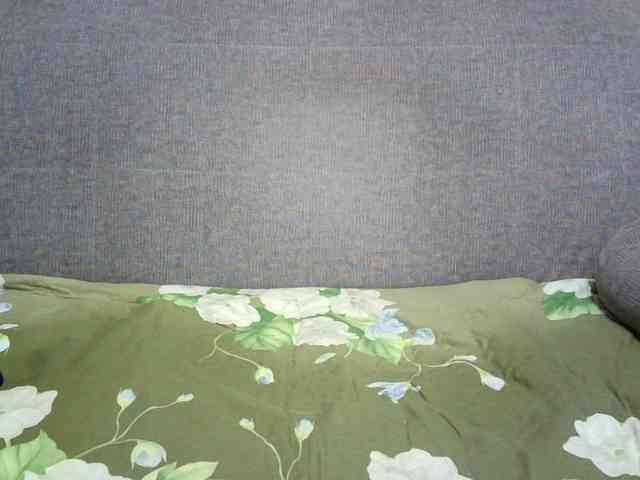Verika webcam