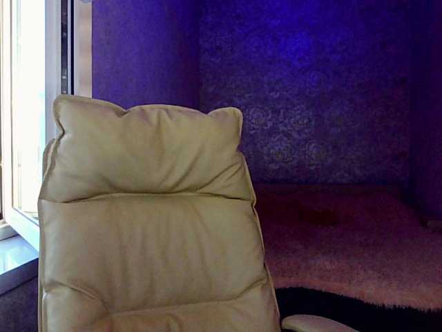 IridessaL live cam on BongaCams