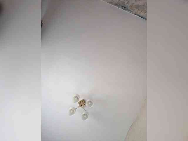 Модель: Atamansha