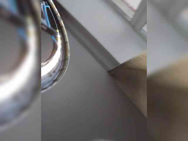 Atamansha webcam