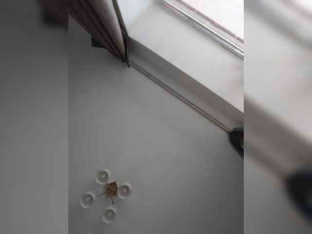 Atamansha webcam