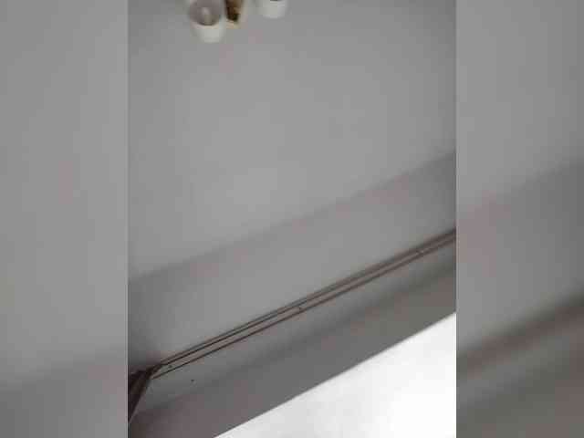 Atamansha webcam