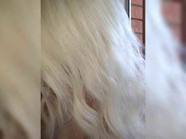 YulyaZefirka webcam