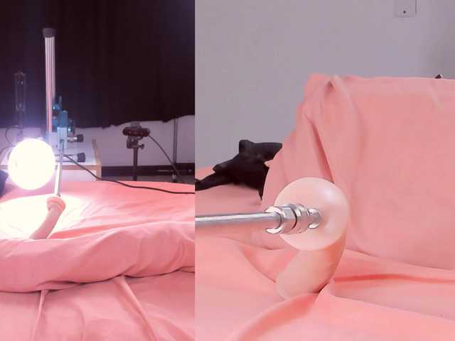 Miaa-Diosa live cam on BongaCams