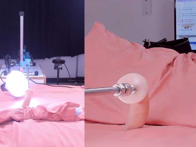 Miaa-Diosa live cam on BongaCams