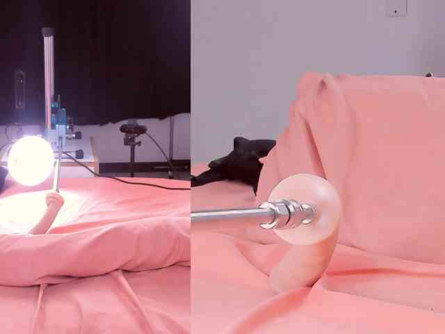 Miaa-Diosa webcam