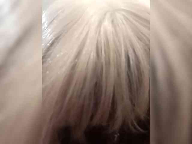 Tatap webcam