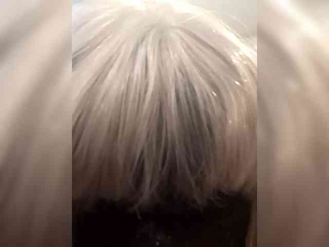 Tatap webcam