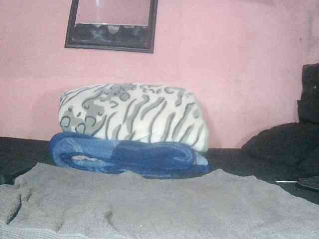 bobiea