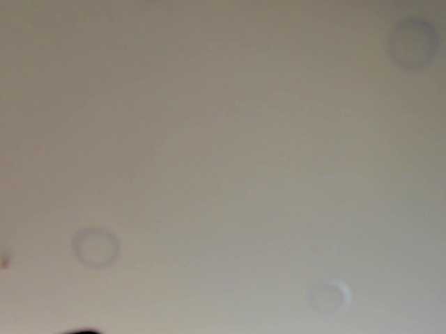 sol-angel live cam on BongaCams