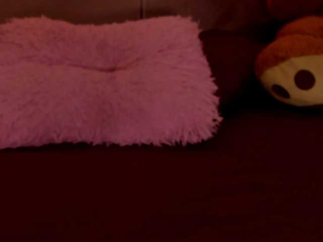 sol-angel live cam on BongaCams