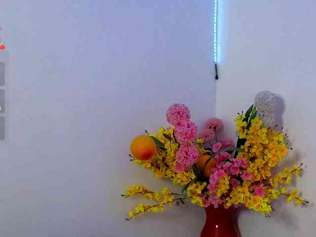 LittleSky webcam