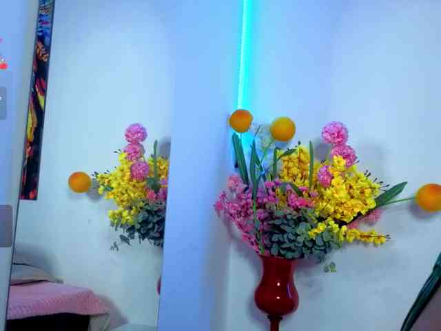 LittleSky webcam