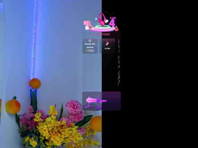 LittleSky webcam