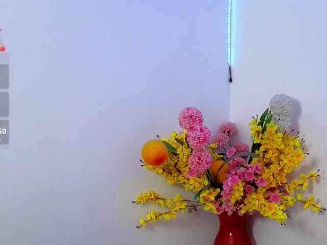 LittleSky