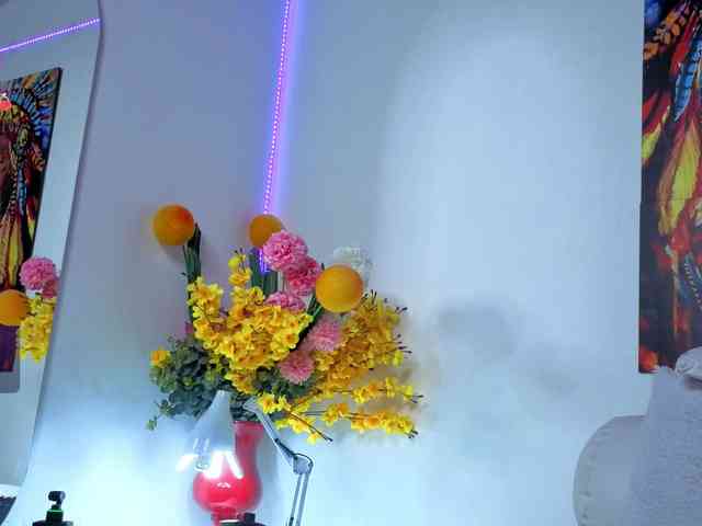 LittleSky webcam